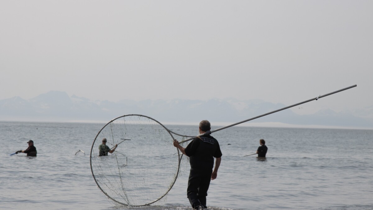 dip net fishing ontario Aquaculture Nets Basic Fish Dip Net