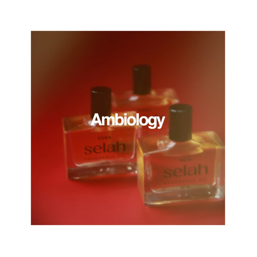 Ambiology X Selah: Stay Awhile