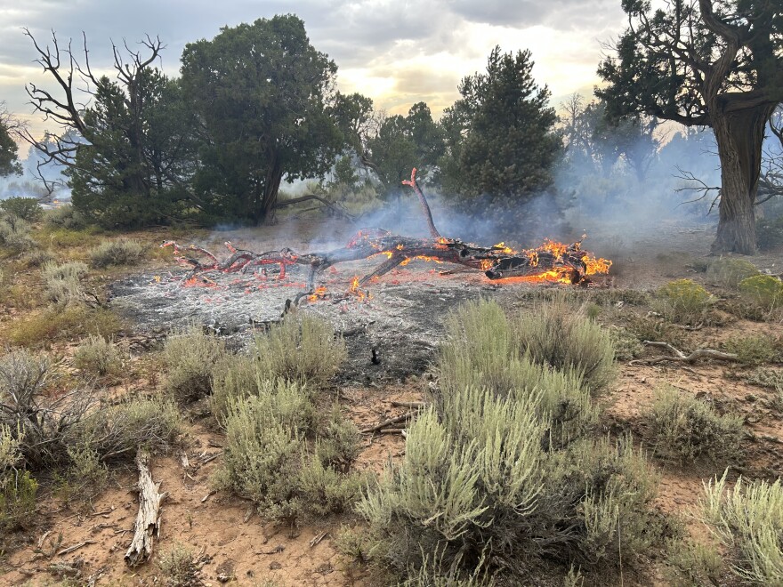 Little Mesa Fire has affected nearly 3,900 acres and primarily involves vegetation types such as Pinyon, Juniper, sagebrush and grass.