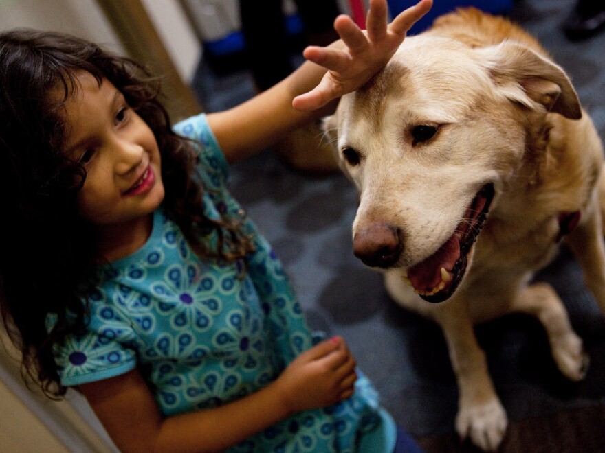 Thelma Balmaceda, age, 4, pets Viola, the resident canine at the Children's Inn on the campus of the National Institutes of Health in Bethesda, Md. Families stay at the inn when their children are undergoing experimental therapies at NIH.