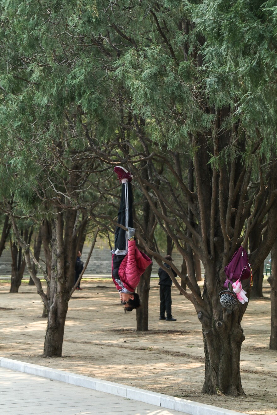 Xie Yuyin, a 55-year-old regular at Beijing's Ditan Park, likes to exercise by hanging upside down from tree branches.