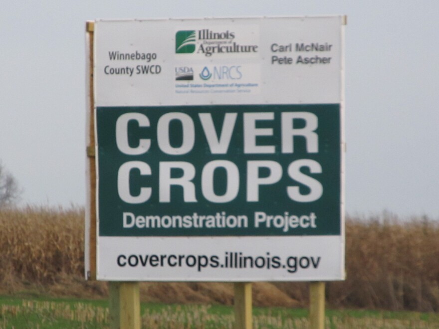 cover_crops.jpg