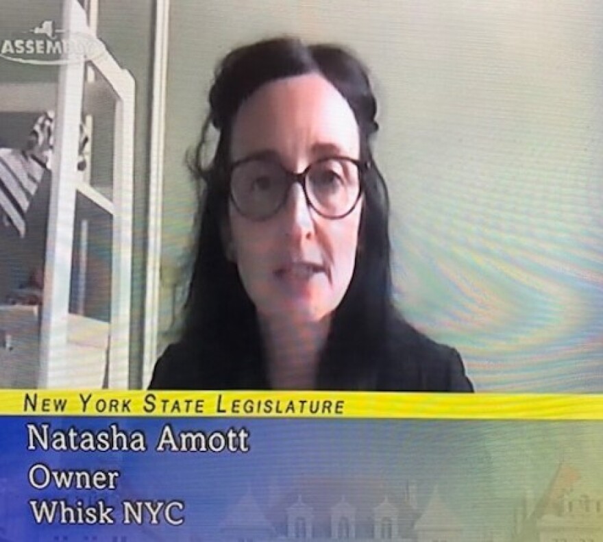 Natasha Amott, who runs a kitchen accessory shop in Brooklyn, speaks Wednesday at the hearing.