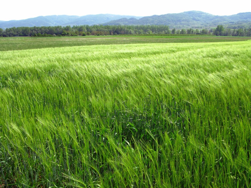 Flickr / artist in doing nothing