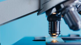 Free scientific microscope image, public domain CC0 photo.