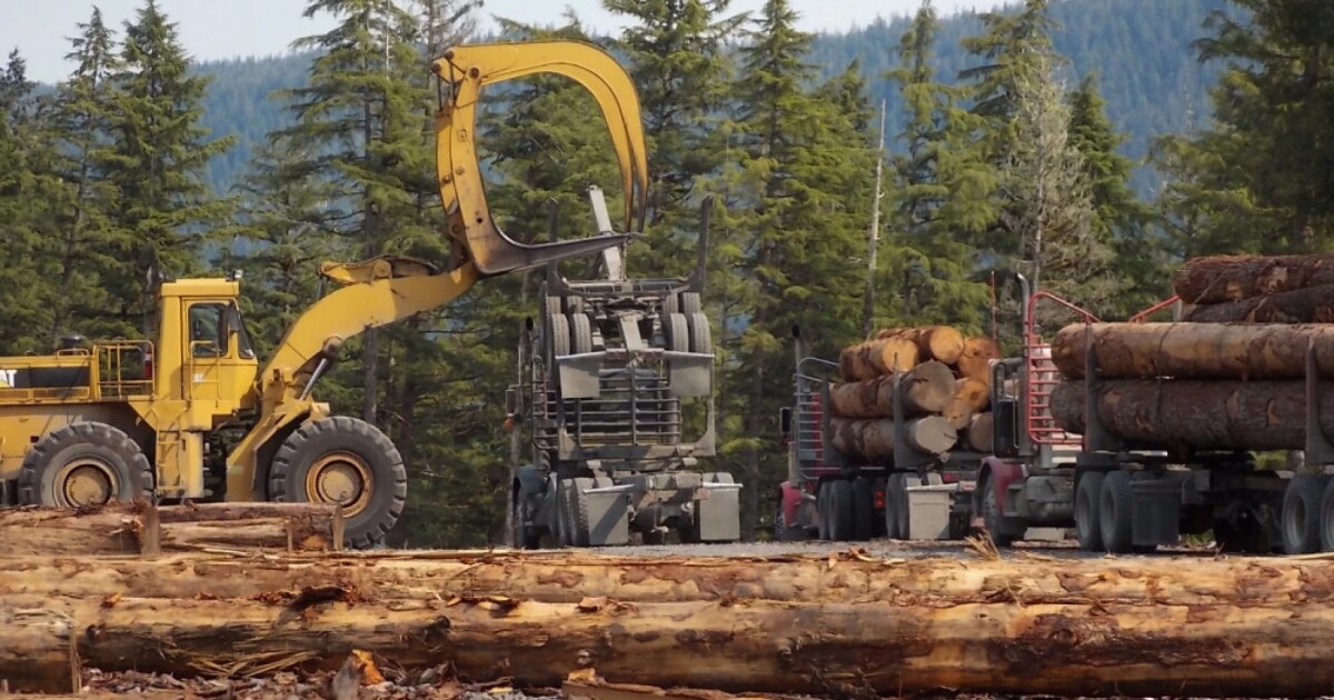 Losses mount for timber companies in Alaska amid China’s import ban