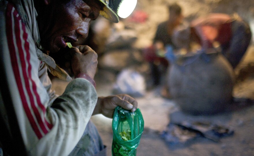 Elogio Tola, 45, a miner since he was a boy, takes a break with coca leaves, chewing bagfuls to ward off hunger and exhaustion in the Cerro Rico silver mines in Potosi last month.