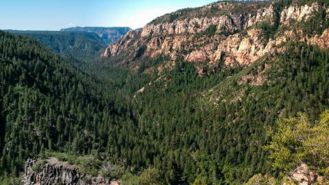 Oak Creek Canyon is a gorge carved into the edge of the Mogollon Rim of the Colorado Plateau along the Oak Creek Fault. It's a prime tourist and ecological hotspot of northern Arizona.