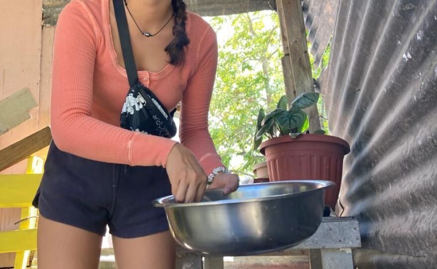 Mya fries spraat_St Mary Jamaica.jpg