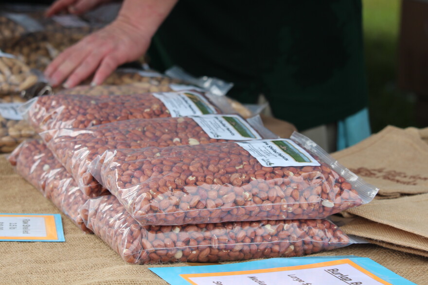 In addition to selling bags of peanuts, the Williston Peanuts booth offered festival goers free peanut butter and jelly sandwiches at the Central Florida Peanut Festival on Saturday, Oct. 3, 2026. (Hailey Hoffmann/WUFT News)