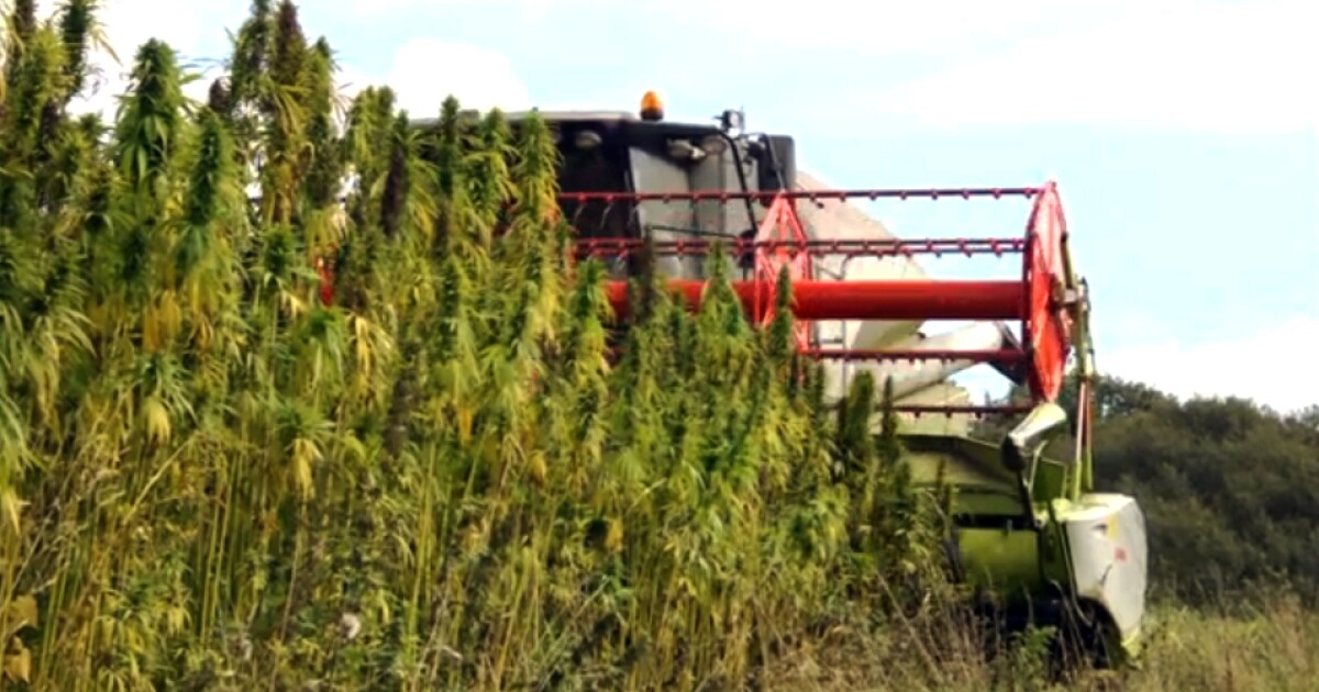 NC Ag commissioner: North Carolina losing 100,000 acres of farmland and forest to development each year