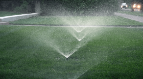 Sprinklers water a green lawn.
