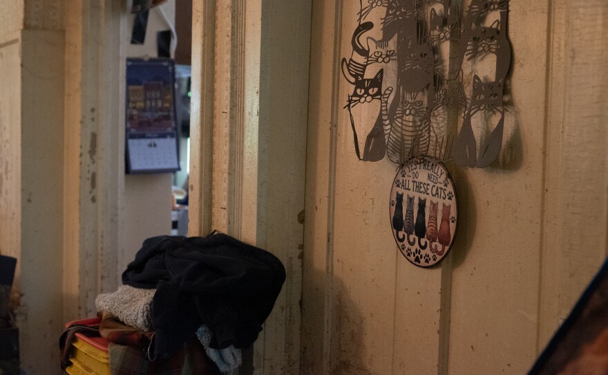 Inside one of the hoarding houses where HSHV conducted its cat rescue operations.