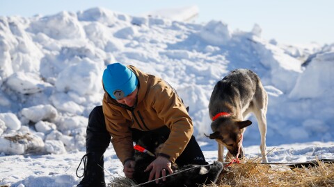 A man in a blue hat petting a dog