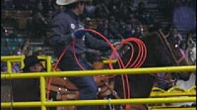 Kirt Jones waits in a paddock just before the steer is released into the arena.