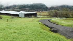 A gravel road passes through a grassy meadow. A tree-covered hillside is in the background.