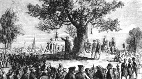 An illustration of the Liberty Tree from 'Cassell's Illustrated History of England,' 1865.