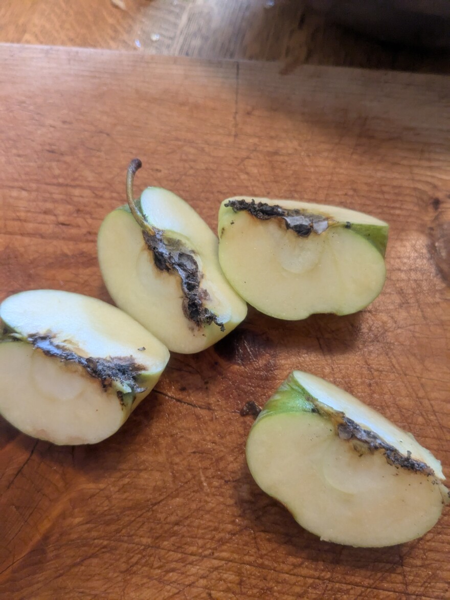 With a little trimming, these apples can be recipe-ready.