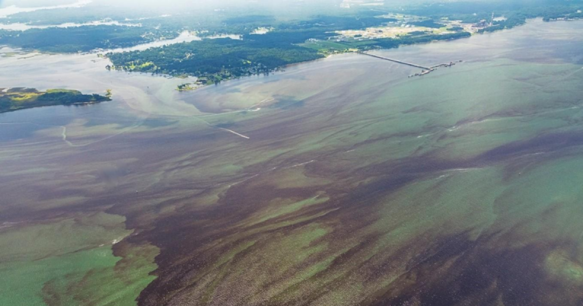 Marine heat waves in the Chesapeake Bay doubled over past two decades