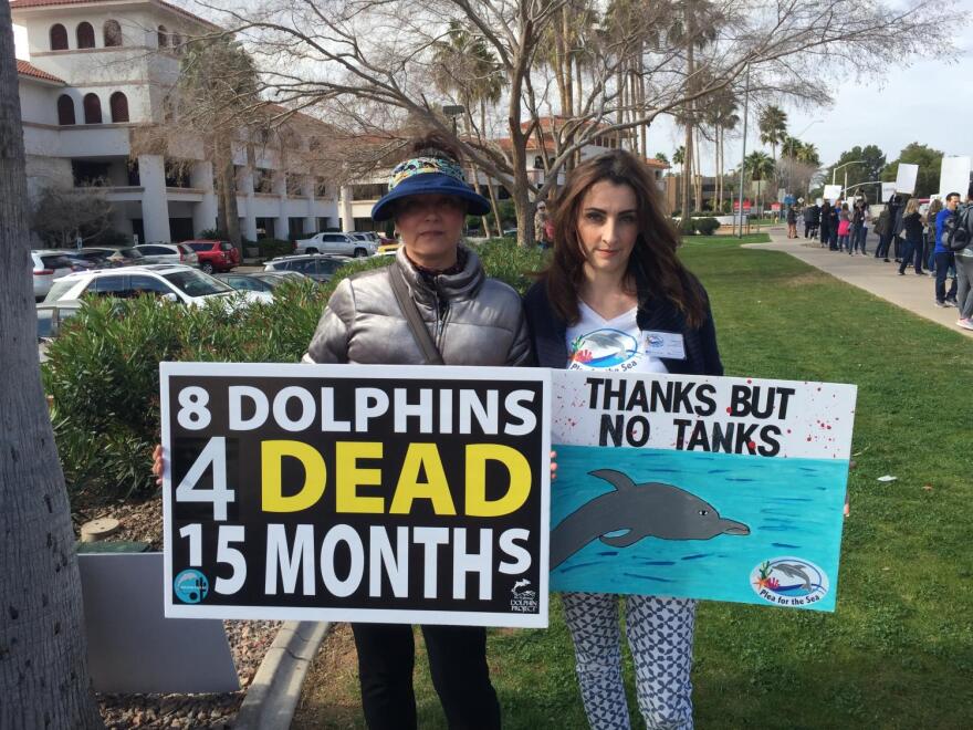 Dolphinaris Arizona protest