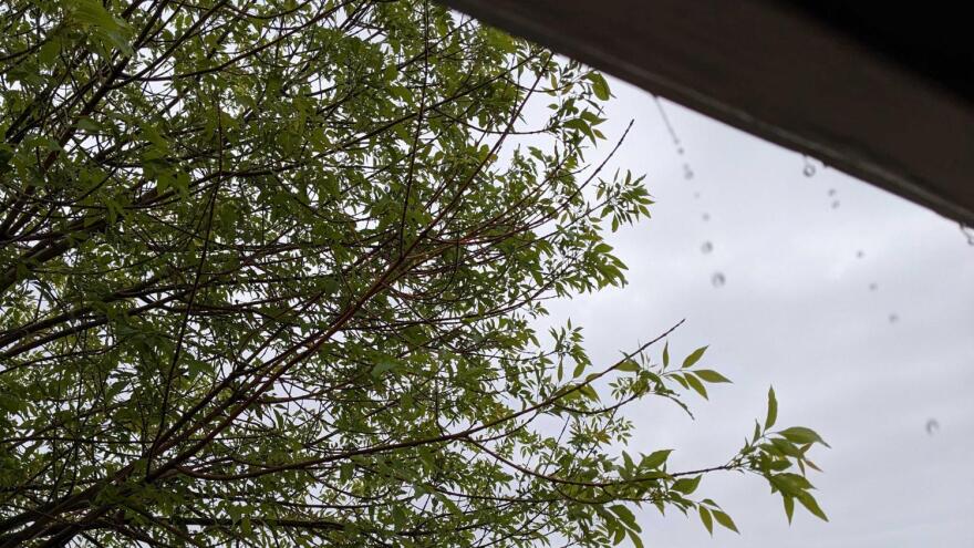 Rain drips from a roof