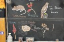 Chalkboard drawings that show what is happening in nature like deer mouse, rose hips, Red-Tailed Hawk, sumac, turkey-tail Fungus and burdock from a classroom in Little Falls.