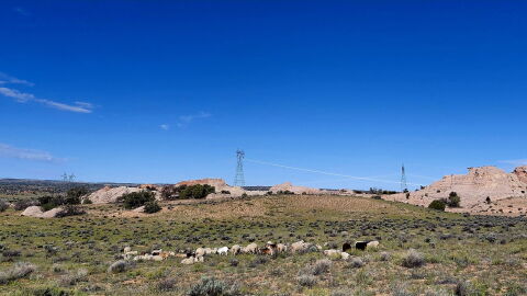 Land within Coppermine Chapter on the Navajo Nation. A firm with ties to a Canadian company proposed building a copper mine there, but community pushback appears to have stalled it.