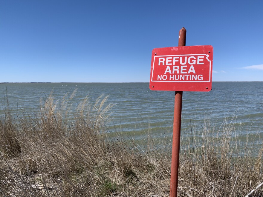 This photo of Cheyenne Bottoms from 2021 shows one of the wetland's main basins filled with water. After one of the driest summers on record, this basin is now completely dry. (Photo by David Condos, Kansas News Service)