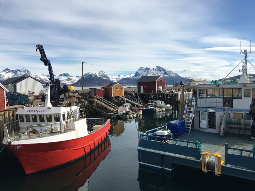 Norway, the country where modern fish farming was invented. Fish farms are becoming more popular as global demand for fish grows.