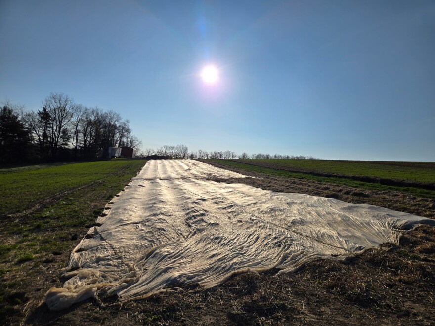 Soergel Orchards has taken precautions with its other vegetable and fruit crops to protect them from frost.