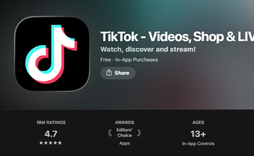 TikTok on the Apple App Store.