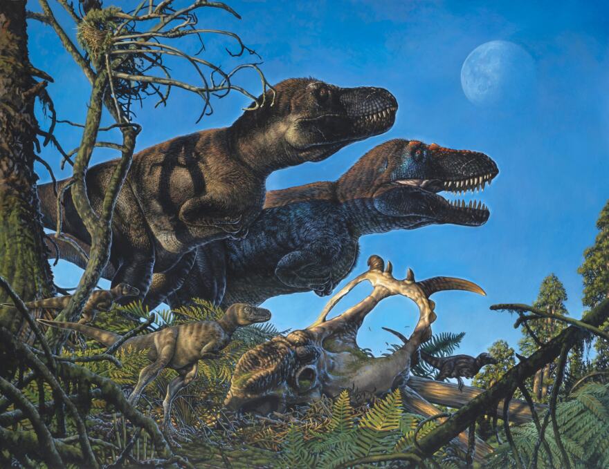 A rendering of Nanuqsaurus, a tyrannosaur whose bones were found on Alaska's North Slope.