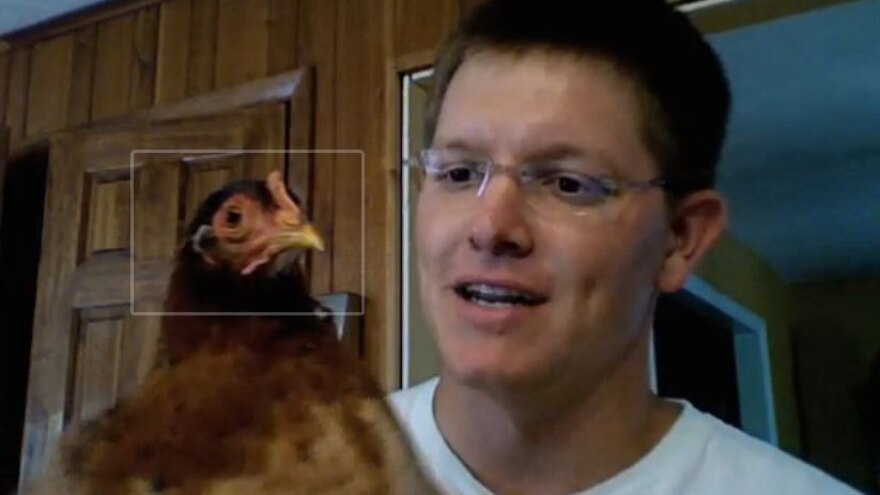 Chicken head not moving.