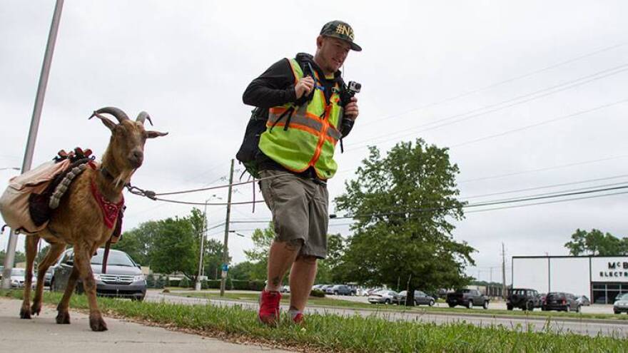Steve Wescott and his goat Leeroy walk along 16th Street through Indianapolis.