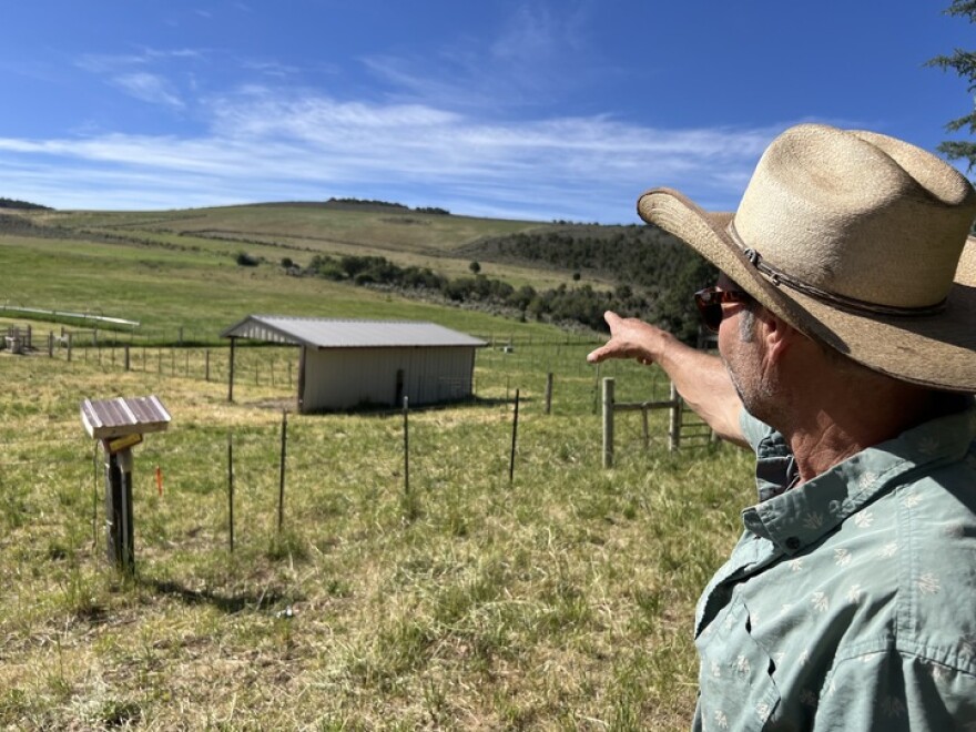 Felix Tornare points to his herd of cattle grazing on Milagro Ranch in Missouri Heights on June 18, 2026. Tornare began using regenerative agricultural practices about five years ago, in part to become more resilient to drought.