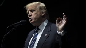 President-elect Donald Trump speaks at the DeltaPlex Arena, Dec. 9, 2016 in Grand Rapids, Mich. (Drew Angerer/Getty Images)