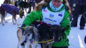 two dogs and a musher