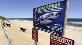Newcomb Hollow Beach in Wellfleet, where a boogie boarder was bitten by a shark in 2018 and later died of his injuries. (Charles Krupa/AP)