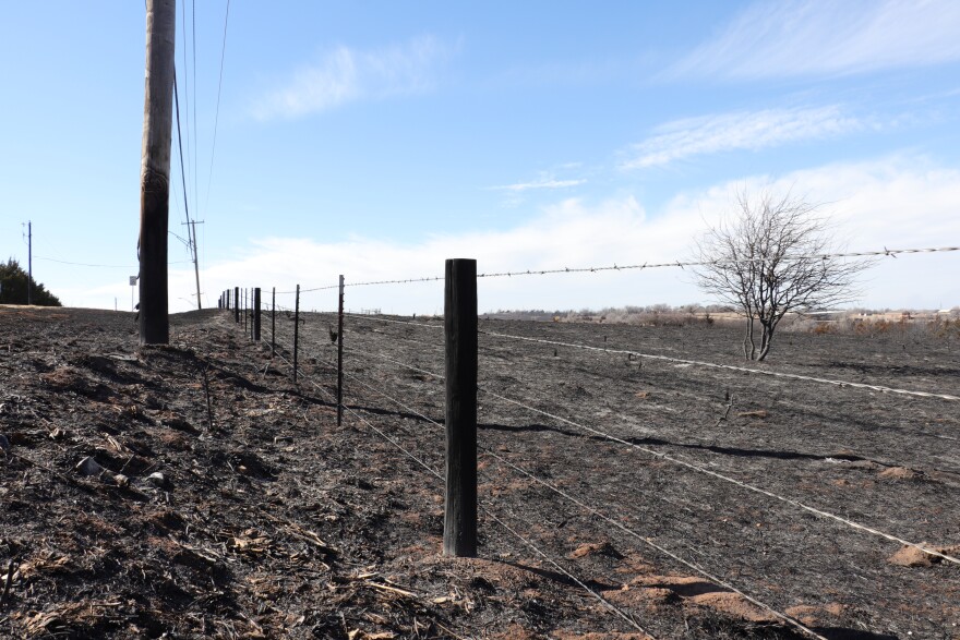 The 43 Road Fire burned the field across the street from Elmwood Cemetery in Woodward.
