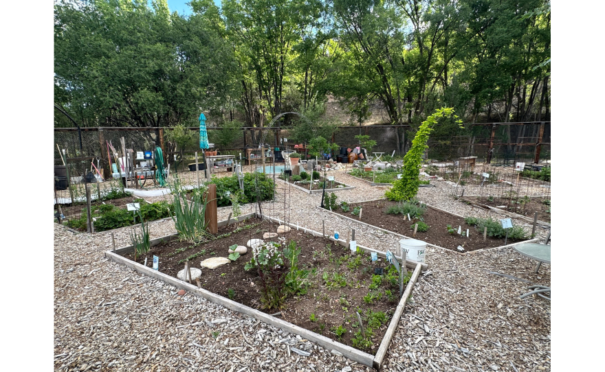Garden plot at the Good Seed Garden.