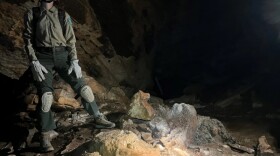 Erin Pitts is New River Trail's Chief Ranger of Visitor Experience. She's standing inside Bertha Cave, looking at the ceiling, where there are glowing specks of bacteria, which look almost like stars.