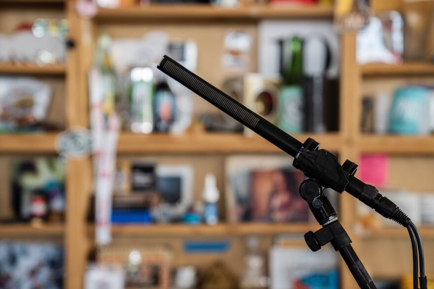 The somewhat (ahem) iconic Sennheiser MKH 418-S.