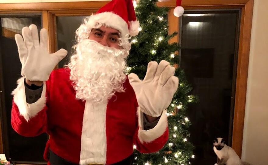 Santa Claus in front of tree, cat.