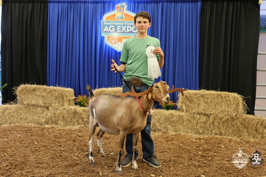 The Ag Expo features the accomplishments of local youth in 4H and other groups.