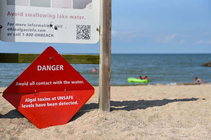 Despite warning signs, children and adults play in the water at Maumee Bay State Park on Lake Erie near Oregon, Ohio.