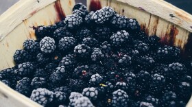 (Nick Sarro/Unsplash)