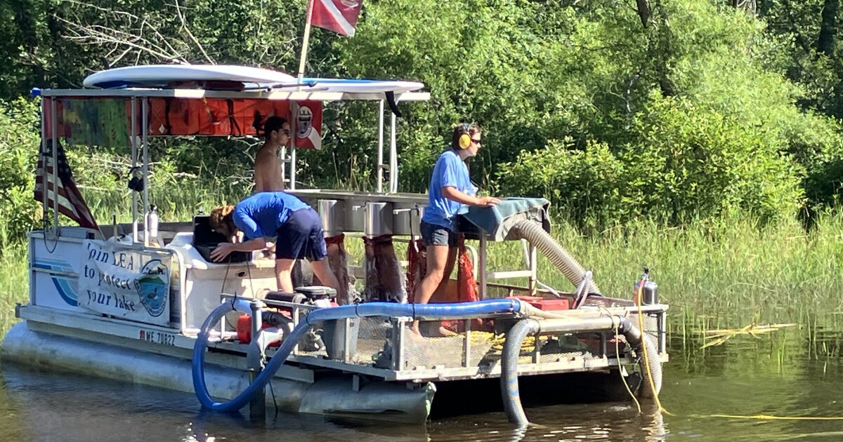 Maine's warming lakes incubate damaging invasive plants