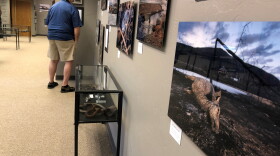 An exhibit on the East Troublesome Fire in Grand Lake features dramatic images, including of wildlife that perished in the blaze.
