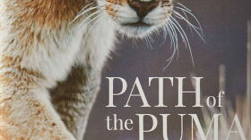 Path of the Puma: The Remarkable Resilience of the Mountain Lion