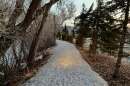 Low snow coverage on the Millennium Trail along state Route 224.